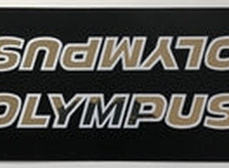 Raleigh Olympus Decal Supply