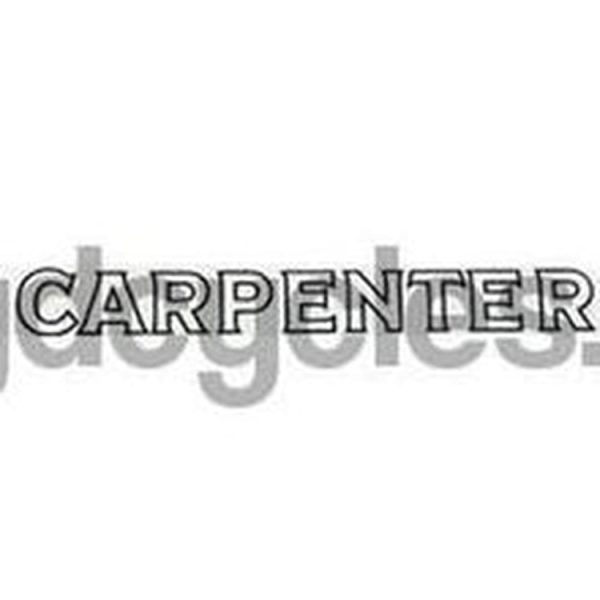 CARPENTER block downtube Online now