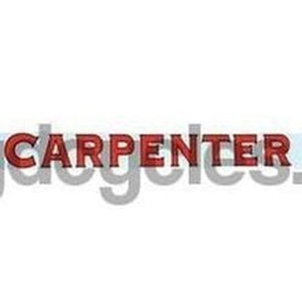 CARPENTER block downtube Online now